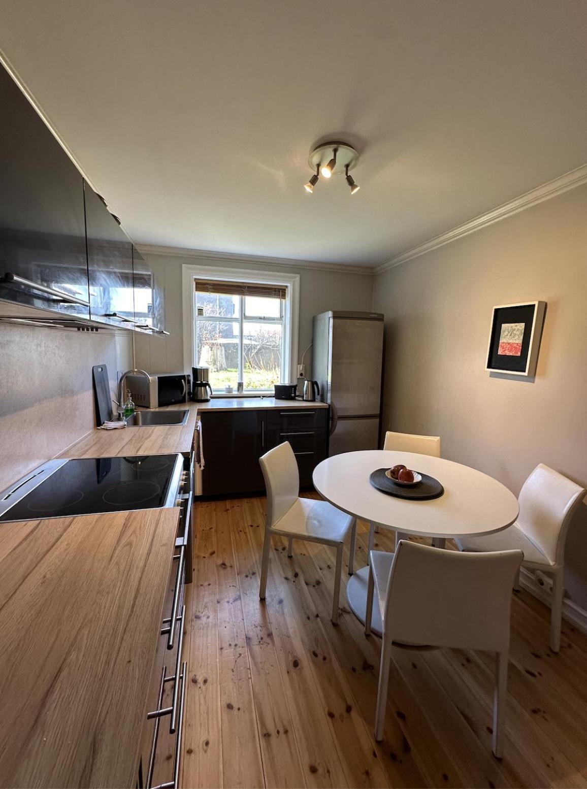 Reykjavik Urban Escape 2-Bedroom Haven With Private Entrance Екстер'єр фото